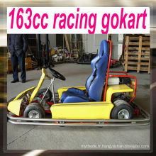 Course professionnelle kart